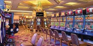 8800 bet plataforma